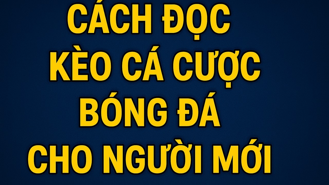 Cách đọc kèo cá cược bóng đá 88CLB cho người mới
